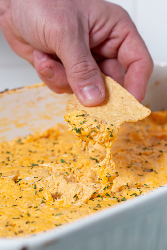 hand holding tortilla chip with buffalo chicken dip on it above the casserole dish with the buffalo chicken dip baked inside